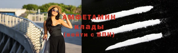 ешки Аркадак