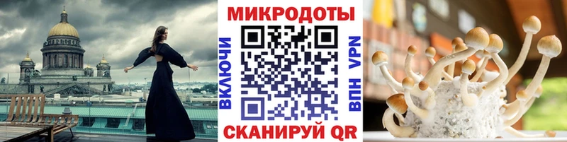 Псилоцибиновые грибы GOLDEN TEACHER ссылка на мегу маркетплейс Мамоново